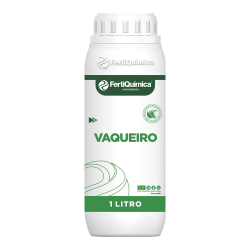 VAQUEIRO